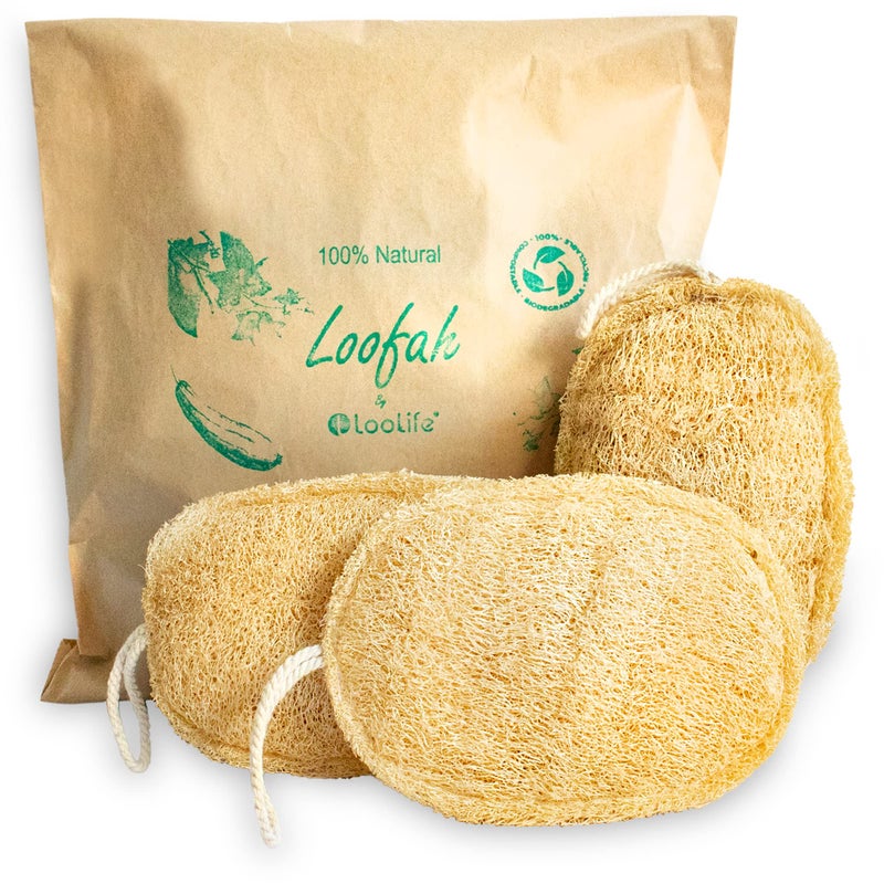 Natural Loofah Exfoliating Sponge 3 Pack  Organic Body Scrubber  Biodegradable Shower Luffa